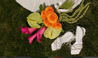 WOSHE Wedding