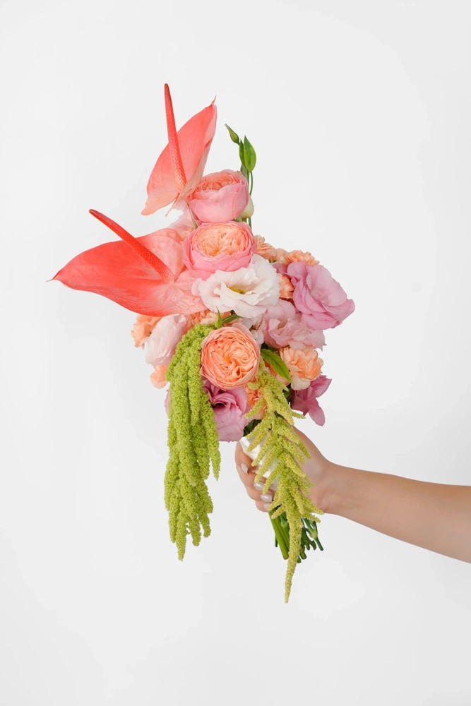 1000797-01_1071030862