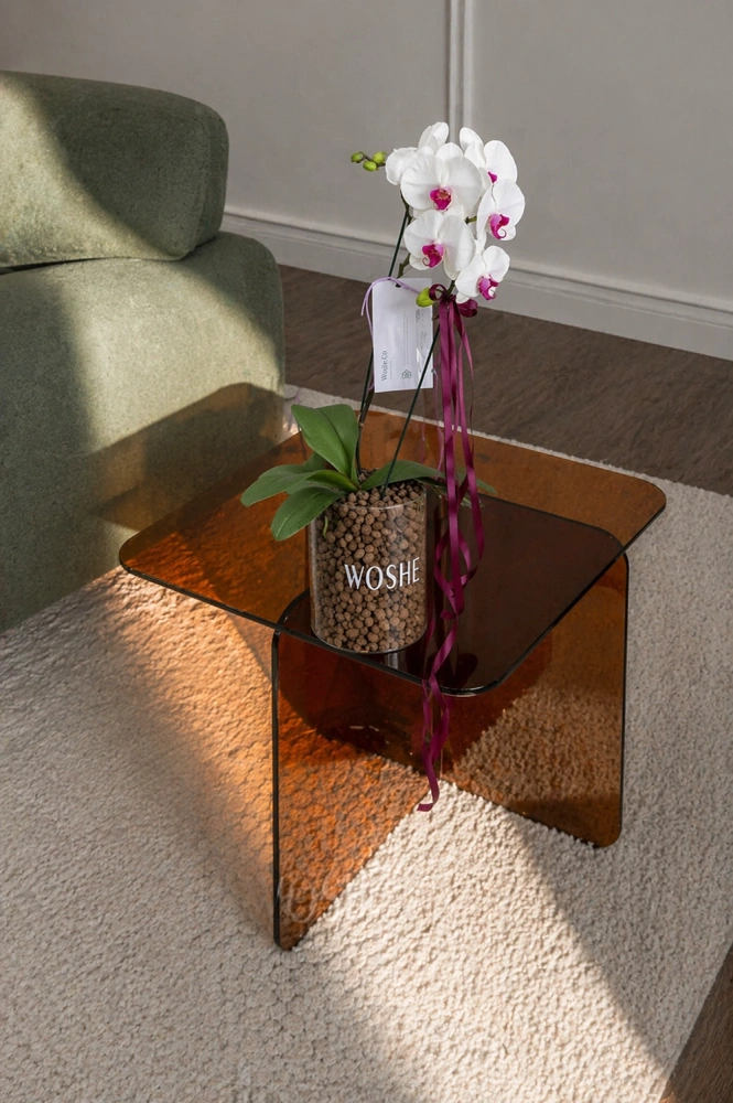 1d921267-9efb-4602-9e7f-4d64fe966c77_1