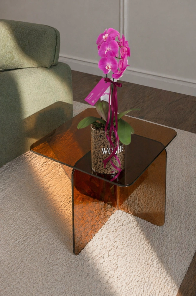 1eb4b302-f8b1-42b6-9b66-9a58b8d6d00f_1