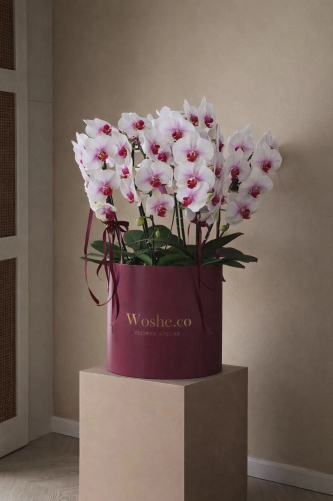 60443f2d-21c9-4740-b14a-c49bca69cf55_png