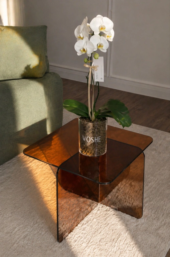 66f919e1-2529-4484-a2d4-64162cc5ea89_png_1549852665