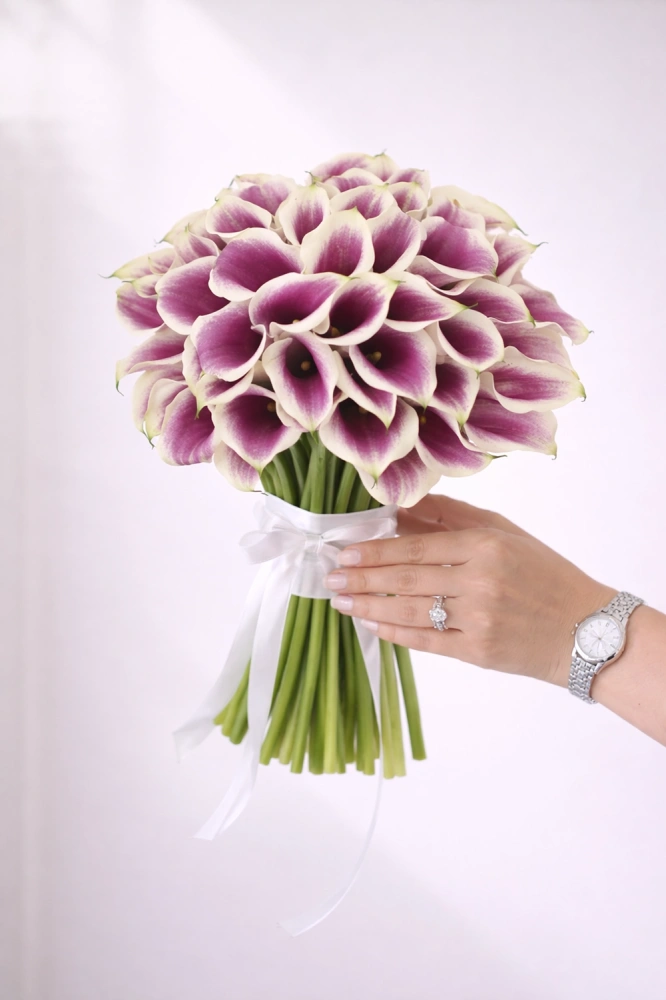 6e630fc8-d09c-40f1-89fb-e23c03c63704_1