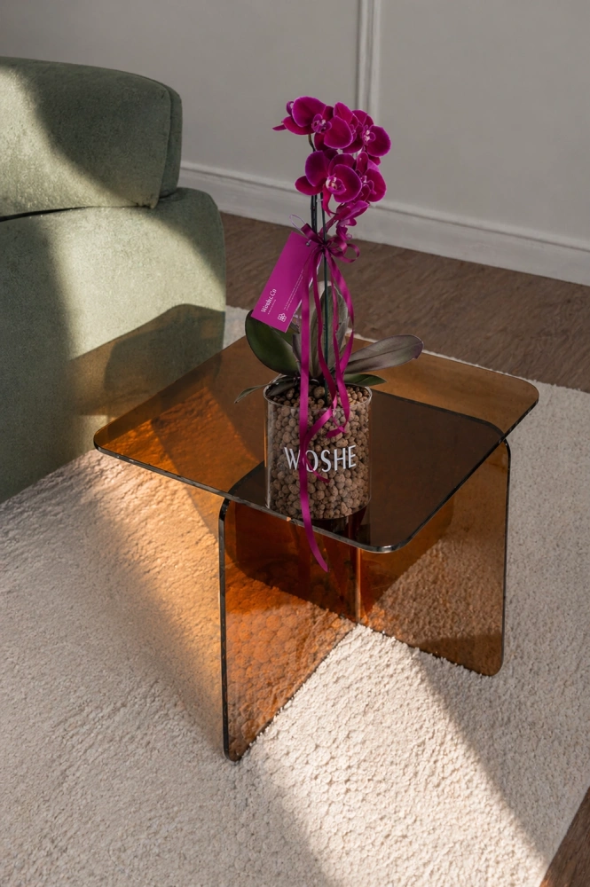 80383810-8384-49f5-9d2c-db047951464d_1