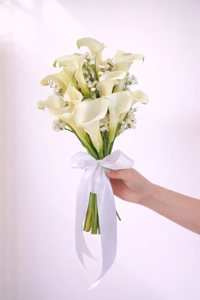 ad063217-c4c1-477b-8187-63b1126147f2_1