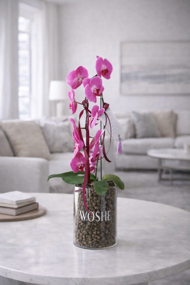 cdbc95d5-d3b3-4b81-a6e4-403ba2c33af7