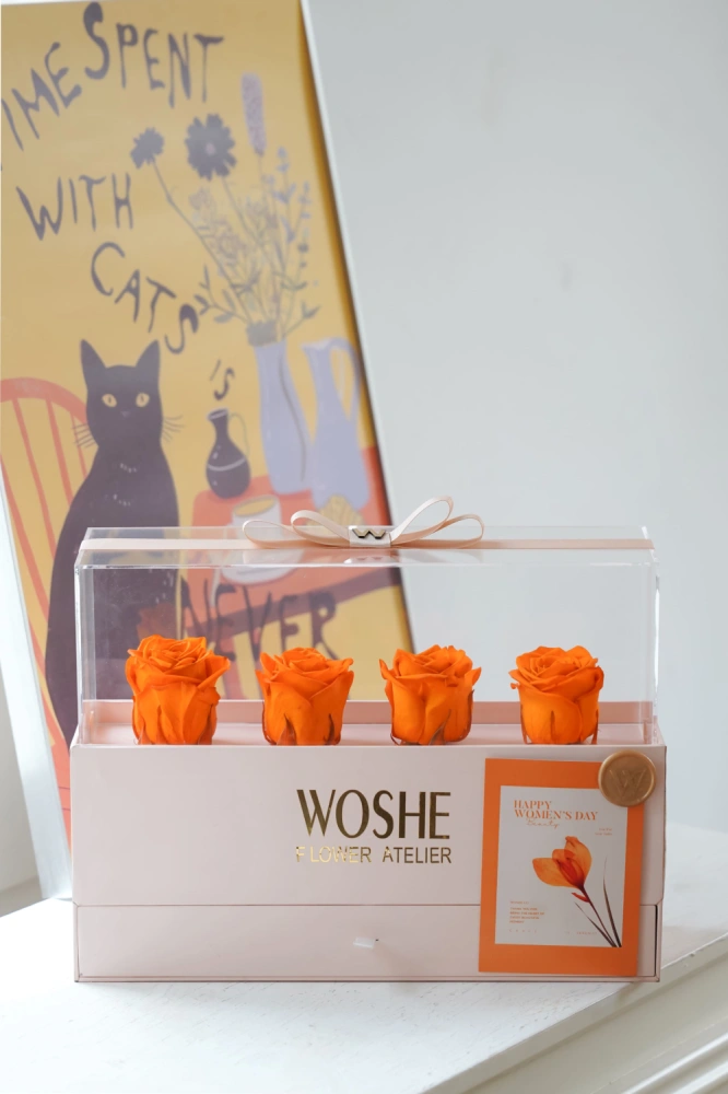 dsc00185_1_578652106