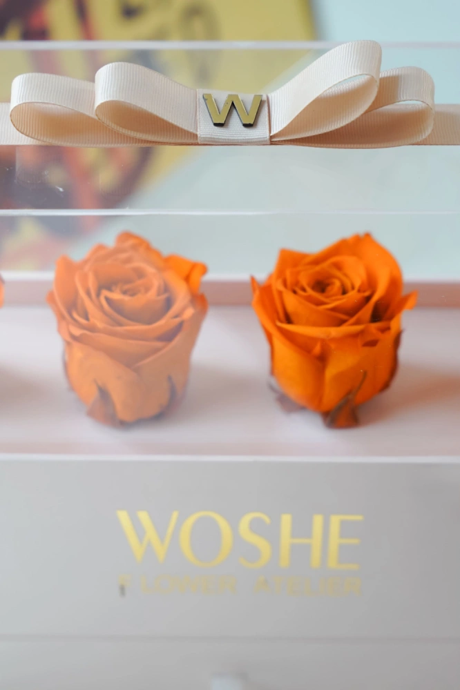 dsc00188_1_1925981537