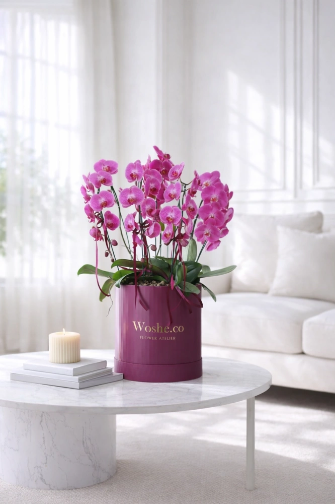 eed4ce92-5999-467b-b6dd-a792ce8e23be