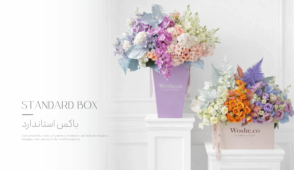 new_banners_copy_-_copy-45