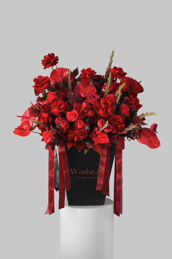 whatsapp_image_2025-12-31_at_5_06_50_am