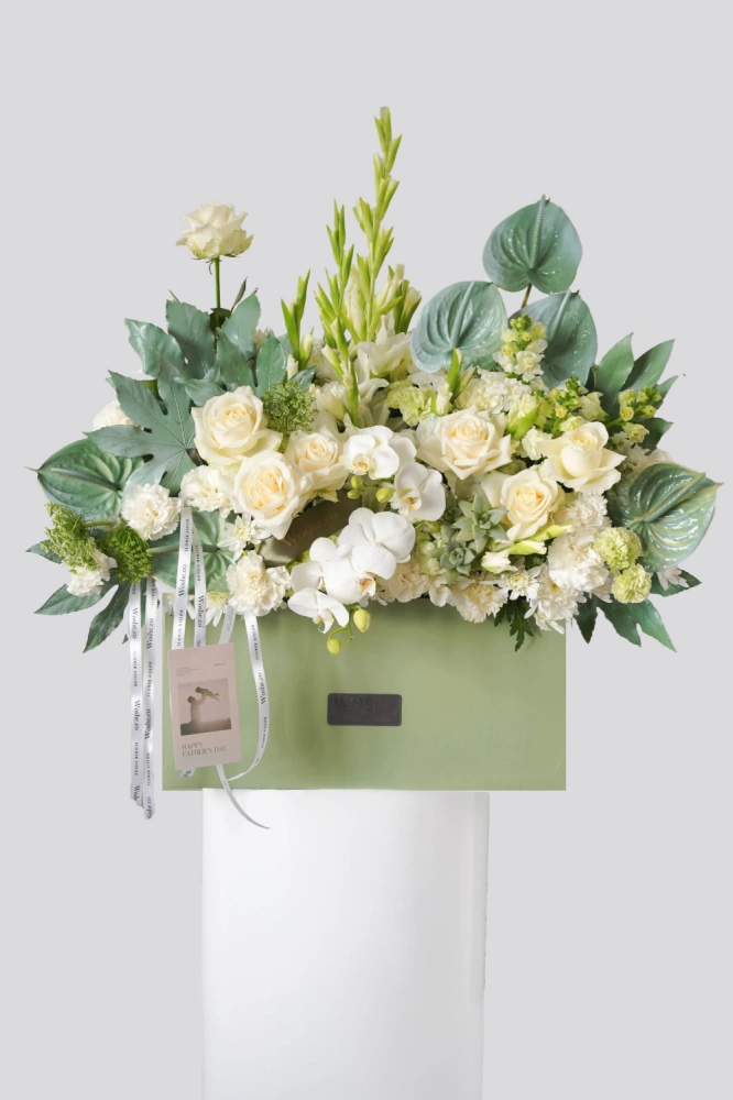 woshe_image_2_1482260322